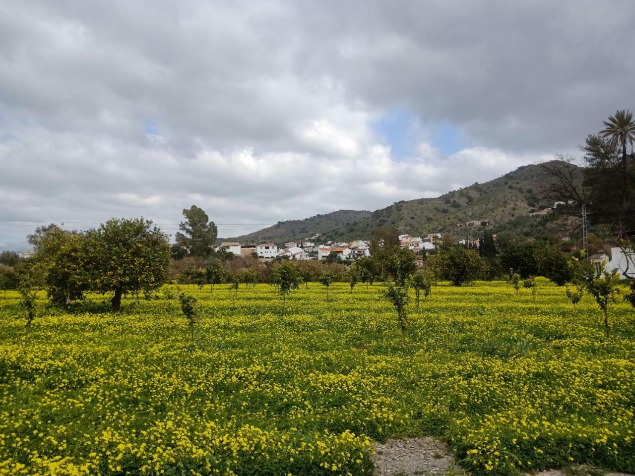 El Cielo Azul Bed & Breakfast Alora Exterior photo